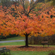Illustration for article titled 48 Photos Of Autumn Around The World